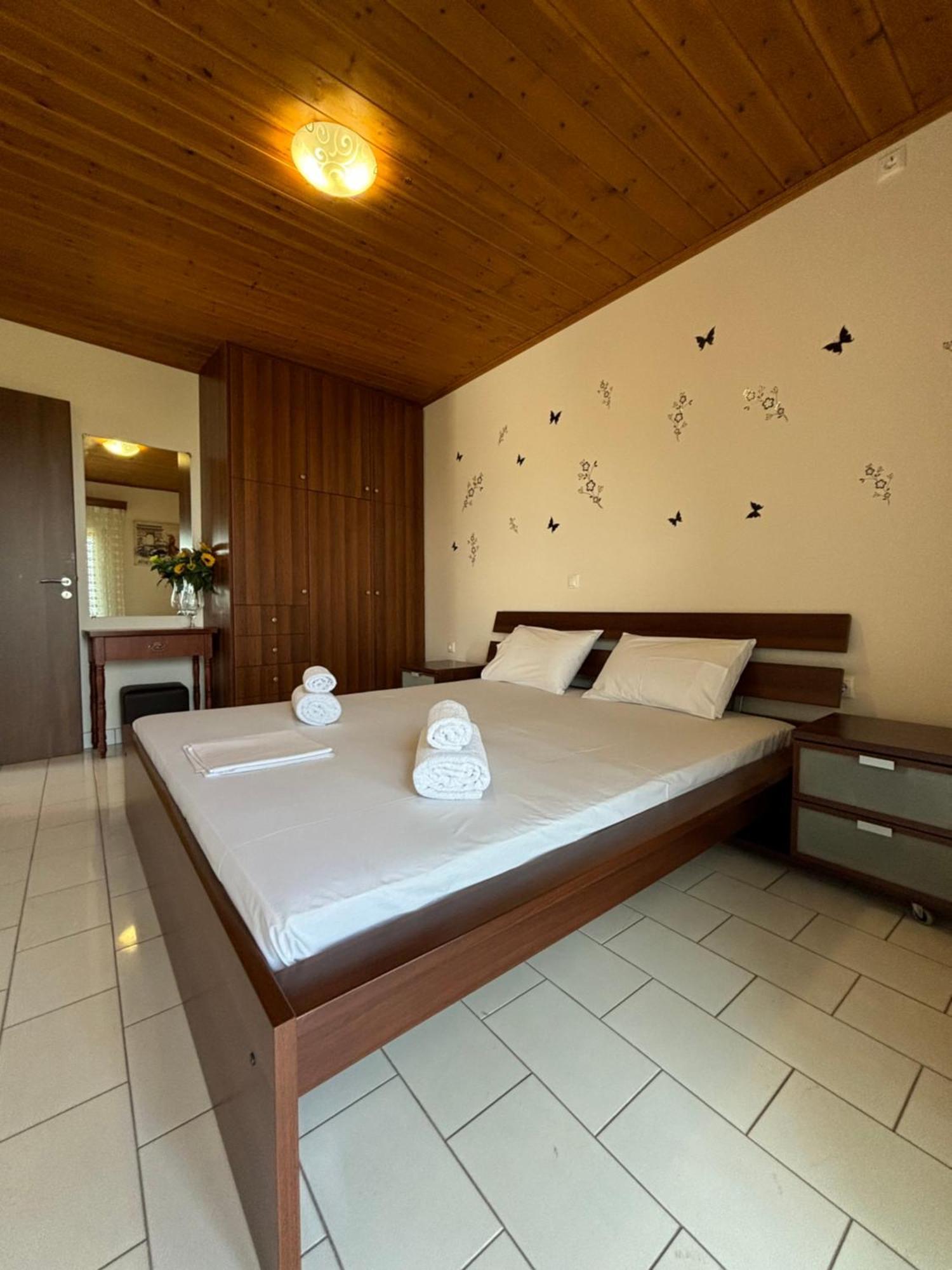 -Tsiakos Apartment- In Vryses 基帕里夏 外观 照片